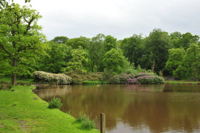 DSC_9315.JPG