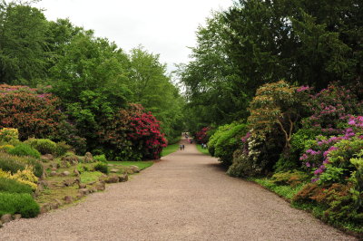 DSC_9696.JPG