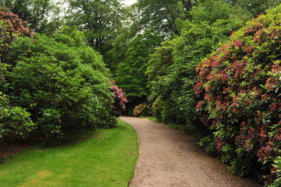 DSC_9706.JPG