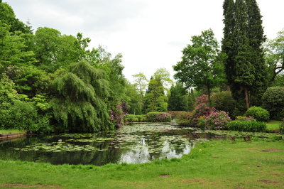 DSC_9711.JPG
