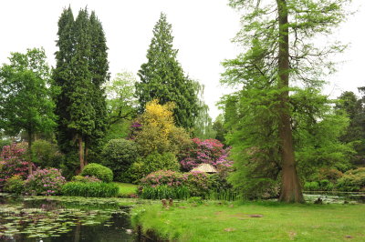 DSC_9713.JPG