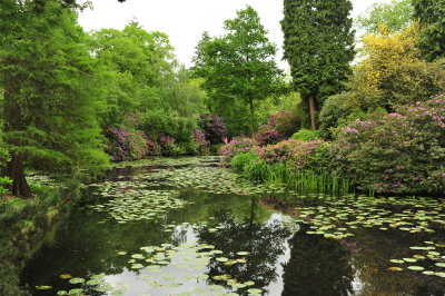 DSC_9722.JPG