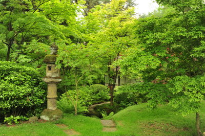 DSC_9731.JPG