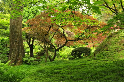 DSC_9737.JPG