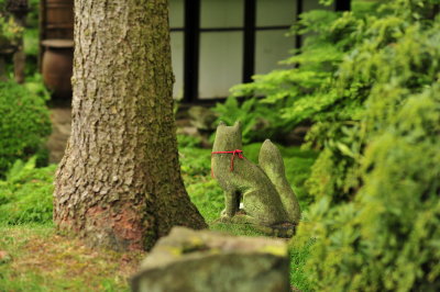 DSC_9747.JPG