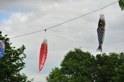 DSC_9752.JPG