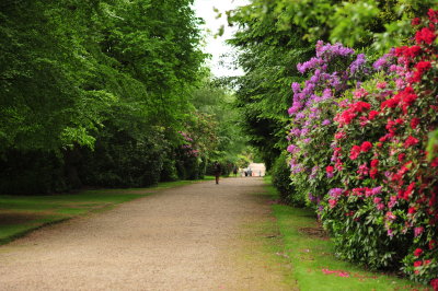DSC_9753.JPG