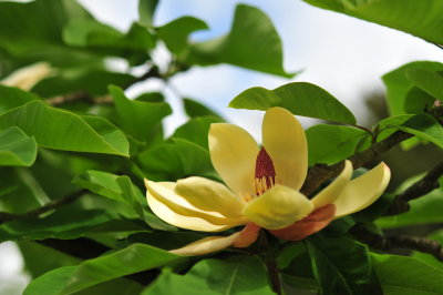 DSC_9764.JPG