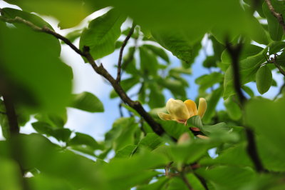 DSC_9765.JPG