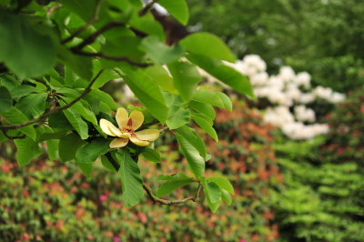 DSC_9769.JPG