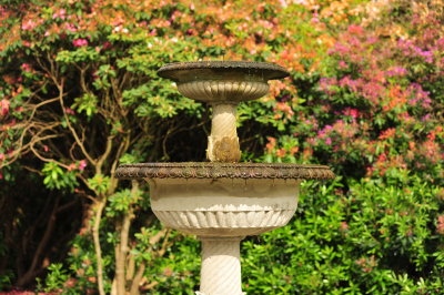 DSC_9776.JPG