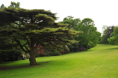 DSC_9810.JPG