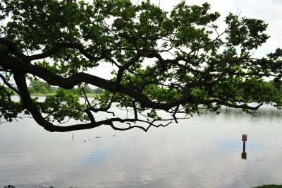DSC_9850.JPG