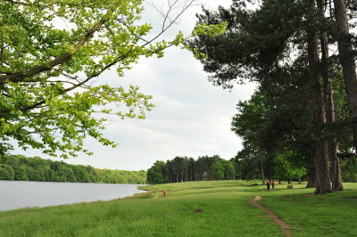 DSC_9864.JPG