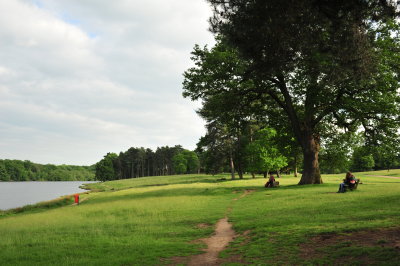 DSC_9865.JPG