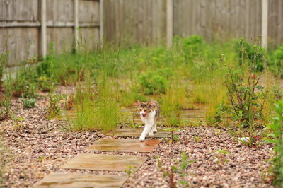 DSC_9917.JPG