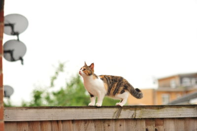 DSC_9923.JPG