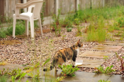 DSC_9926.JPG