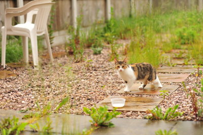 DSC_9935.JPG