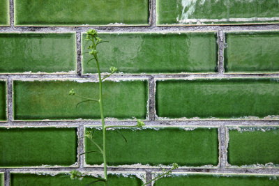 Another green brick in the wall