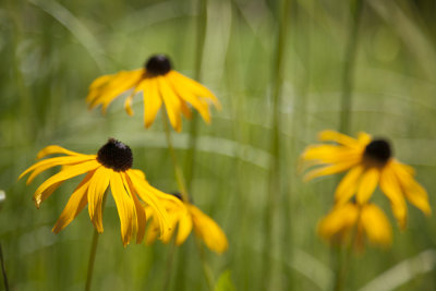 g9/69/798369/3/151952762.F7Tid4Mv.jpg