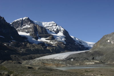 Columbia Icefield seen from Wilcox Pass