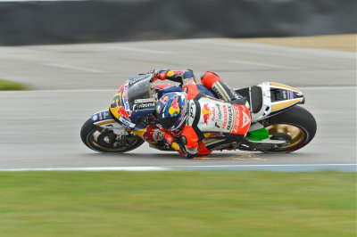 Bradl - Elbow