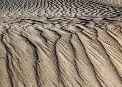 Cross Currents -  Mesquite Dunes 6229 - 31.jpg