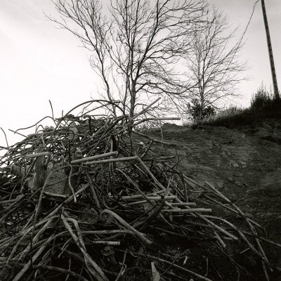 Construction Waste and Trees, Ottawa, 2014