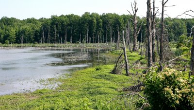 Sandy Ridge Reservation