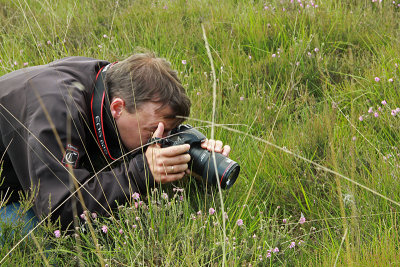Martin en Veenbesblauwtje