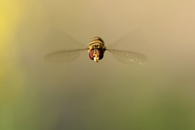 g9/69/966569/3/151616058.kyAKzzYT.jpg