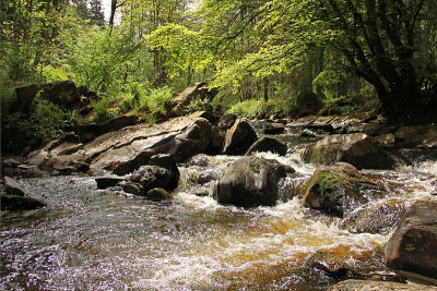 Kleiner Laufenbach