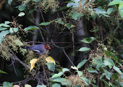 IMG_2116.2013.07.12.jpg