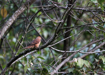 IMG_2105.2013.07.12.jpg