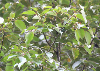 IMG_2003.2013.07.12.jpg