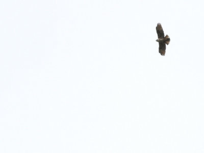 IMG_2038.2013.07.12.jpg