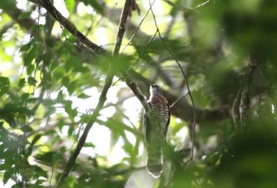 IMG_2236.2013.07.13.jpg