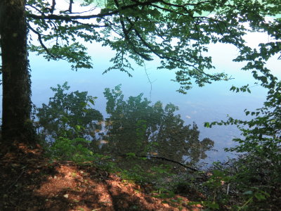 Fuschl See 2015