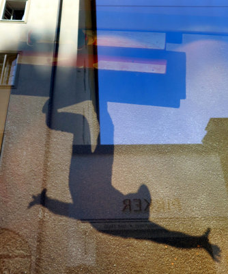 Windows Of Salzburg 2015