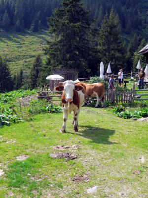 Steiermark 2015