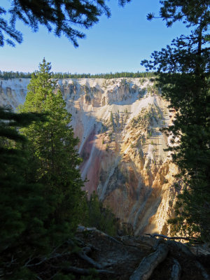 Yellowstone 2015