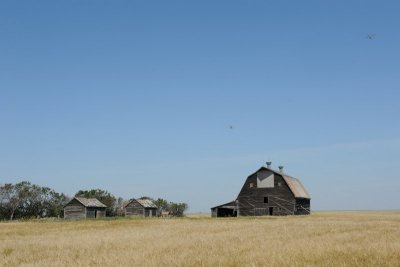 Another Prairie Landmark..