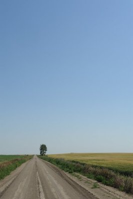 Solitude