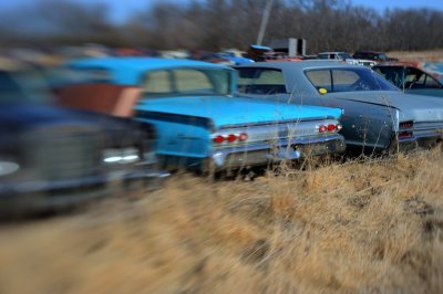 Lensbaby Fun...