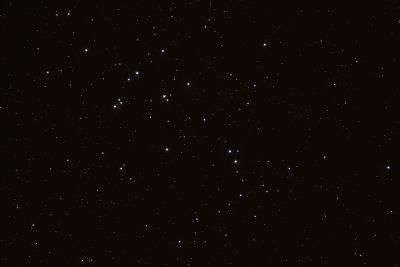 M 44