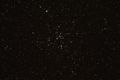 M 41