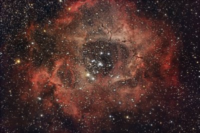 Rosette Nebula
