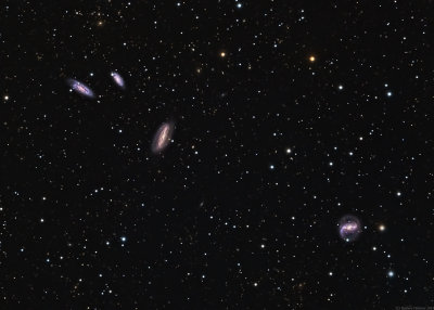 Grus Quartet of Galaxies
