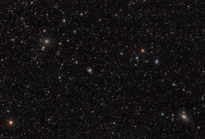 Galaxies in Fornax